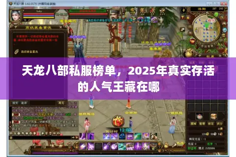 天龙八部私服榜单，2025年真实存活的人气王藏在哪
