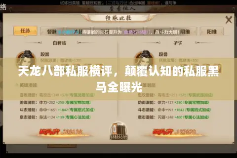 天龙八部私服横评，颠覆认知的私服黑马全曝光