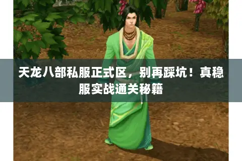 天龙八部私服正式区,别再踩坑!真稳服实战通关秘籍 天龙八部私服正式区,别再踩坑!真稳服实战通关秘籍