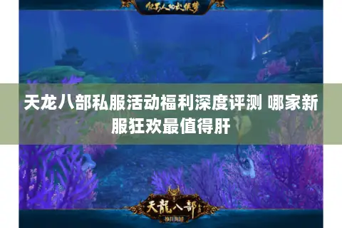 天龙八部私服活动福利深度评测 哪家新服狂欢最值得肝