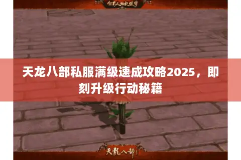 天龙八部私服满级速成攻略2025,即刻升级行动秘籍 天龙八部私服满级速成攻略2025,即刻升级行动秘籍