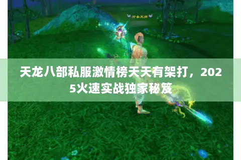 天龙八部私服激情榜天天有架打,2025火速实战独家秘笈 天龙八部私服激情榜天天有架打,2025火速实战独家秘笈