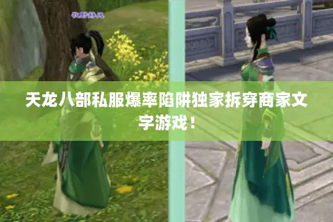 天龙八部私服爆率陷阱独家拆穿商家文字游戏! 天龙八部私服爆率陷阱独家拆穿商家文字游戏!
