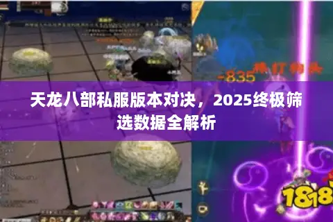 天龙八部私服版本对决，2025终极筛选数据全解析