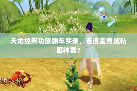 天龙经典功放翻车实录,老古董竟成私服神器? 天龙经典功放翻车实录,老古董竟成私服神器?