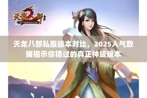 天龙八部私服版本对比,2025人气数据揭示你错过的真正神级版本 天龙八部私服版本对比,2025人气数据揭示你错过的真正神级版本