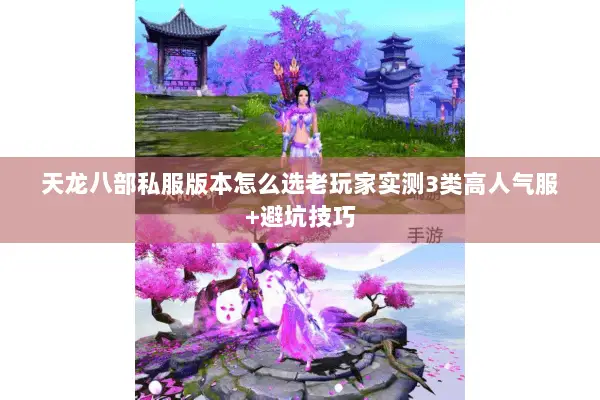 天龙八部私服版本怎么选老玩家实测3类高人气服+避坑技巧 天龙八部私服版本怎么选老玩家实测3类高人气服+避坑技巧