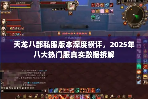 天龙八部私服版本深度横评，2025年八大热门服真实数据拆解