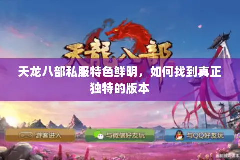 天龙八部私服特色鲜明，如何找到真正独特的版本