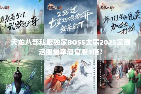 天龙八部私服独家BOSS太弱2025实测这服爆率超官服3倍! 天龙八部私服独家BOSS太弱2025实测这服爆率超官服3倍!