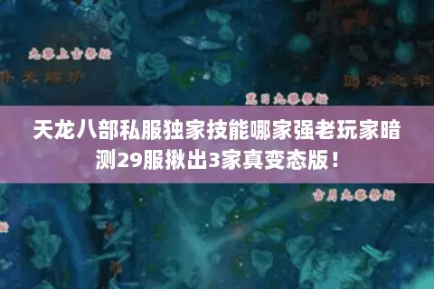 天龙八部私服独家技能哪家强老玩家暗测29服揪出3家真变态版! 天龙八部私服独家技能哪家强老玩家暗测29服揪出3家真变态版!