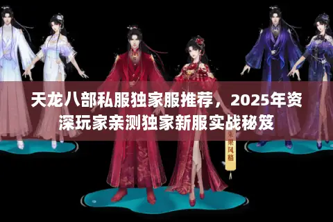 天龙八部私服独家服推荐，2025年资深玩家亲测独家新服实战秘笈