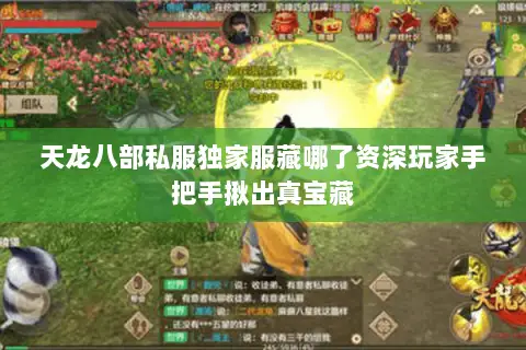 天龙八部私服独家服藏哪了资深玩家手把手揪出真宝藏 天龙八部私服独家服藏哪了资深玩家手把手揪出真宝藏