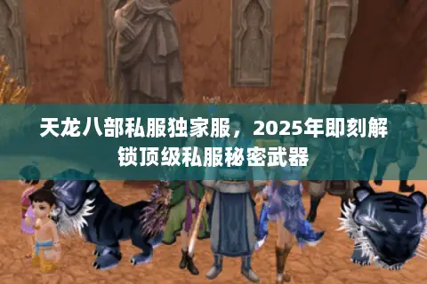 天龙八部私服独家服，2025年即刻解锁顶级私服秘密武器