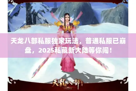 天龙八部私服独家玩法，普通私服已崩盘，2025私藏新大陆等你闯！