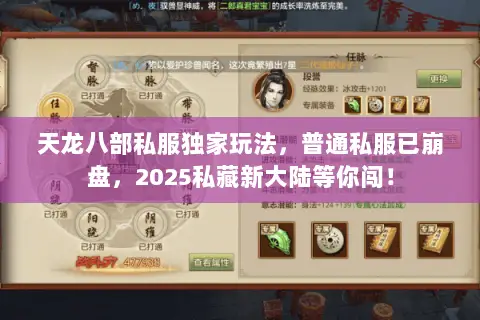 天龙八部私服独家玩法，普通私服已崩盘，2025私藏新大陆等你闯！