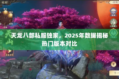 天龙八部私服独家,2025年数据揭秘热门版本对比 天龙八部私服独家,2025年数据揭秘热门版本对比