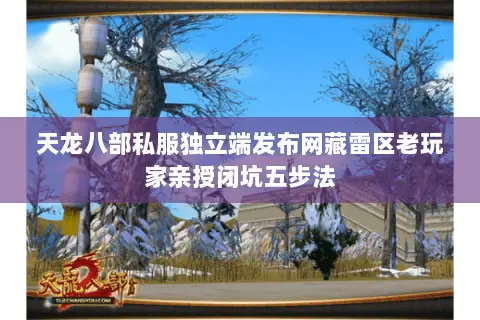 天龙八部私服独立端发布网藏雷区老玩家亲授闭坑五步法