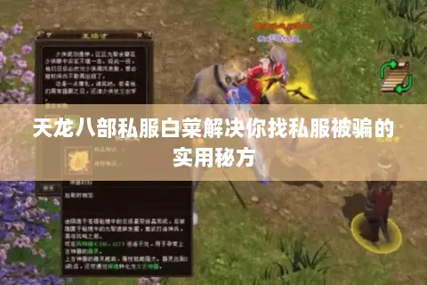 天龙八部私服白菜解决你找私服被骗的实用秘方 天龙八部私服白菜解决你找私服被骗的实用秘方