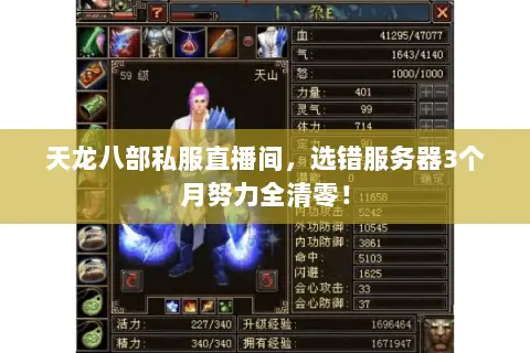 天龙八部私服直播间，选错服务器3个月努力全清零！