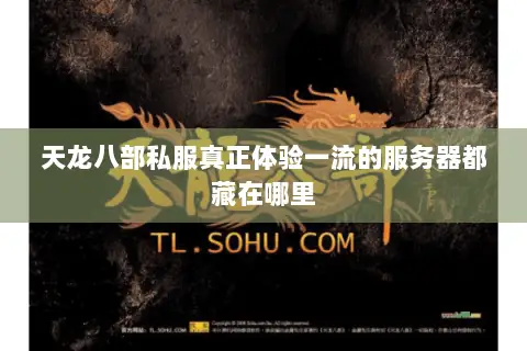 天龙八部私服真正体验一流的服务器都藏在哪里 天龙八部私服真正体验一流的服务器都藏在哪里