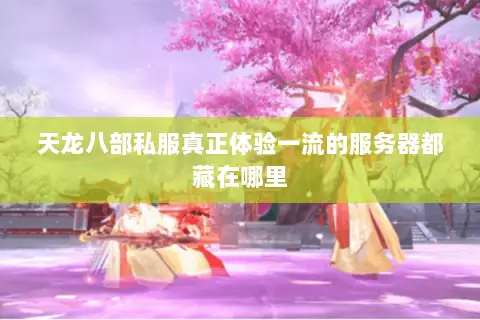 天龙八部私服真正体验一流的服务器都藏在哪里 天龙八部私服真正体验一流的服务器都藏在哪里