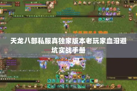 天龙八部私服真独家版本老玩家血泪避坑实战手册