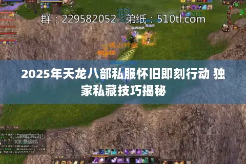 2025年天龙八部私服怀旧即刻行动 独家私藏技巧揭秘