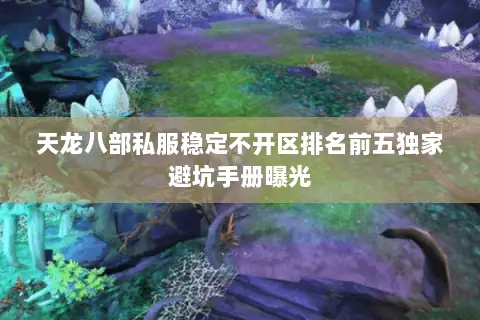 天龙八部私服稳定不开区排名前五独家避坑手册曝光 天龙八部私服稳定不开区排名前五独家避坑手册曝光