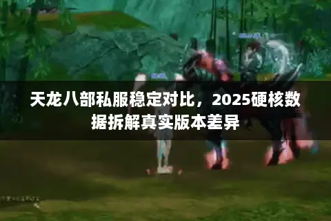天龙八部私服稳定对比，2025硬核数据拆解真实版本差异