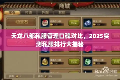 天龙八部私服管理口碑对比，2025实测私服排行大揭秘