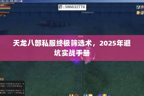 天龙八部私服终极筛选术，2025年避坑实战手册