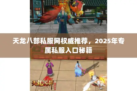 天龙八部私服网权威推荐,2025年专属私服入口秘籍 天龙八部私服网权威推荐,2025年专属私服入口秘籍