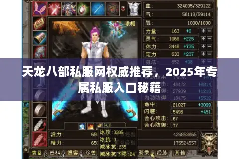 天龙八部私服网权威推荐,2025年专属私服入口秘籍 天龙八部私服网权威推荐,2025年专属私服入口秘籍
