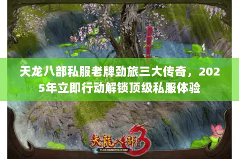 天龙八部私服老牌劲旅三大传奇，2025年立即行动解锁顶级私服体验