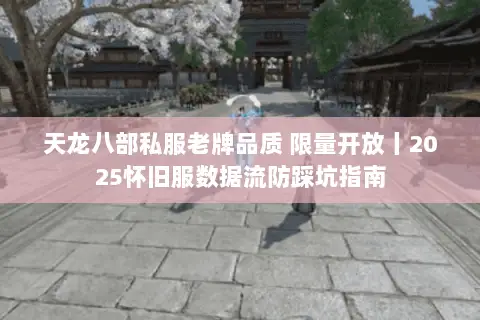 天龙八部私服老牌品质 限量开放丨2025怀旧服数据流防踩坑指南 天龙八部私服老牌品质 限量开放丨2025怀旧服数据流防踩坑指南