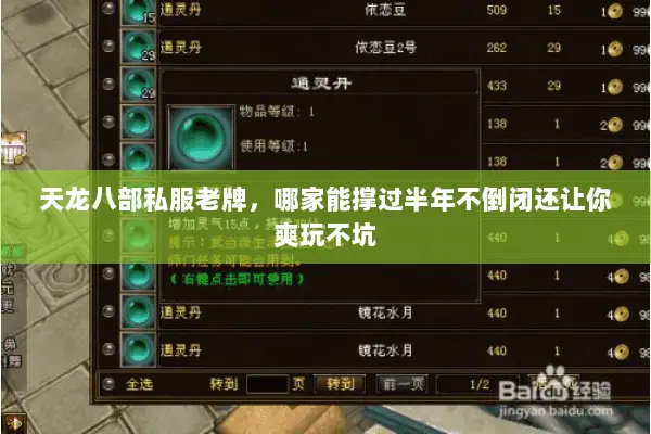 天龙八部私服老牌,哪家能撑过半年不倒闭还让你爽玩不坑 天龙八部私服老牌,哪家能撑过半年不倒闭还让你爽玩不坑