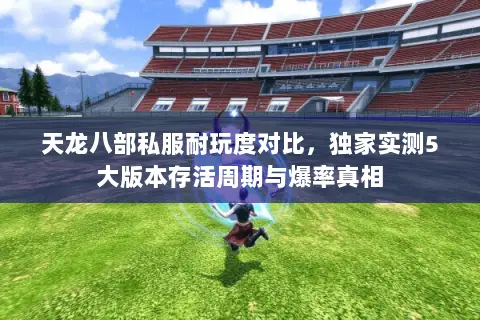 天龙八部私服耐玩度对比,独家实测5大版本存活周期与爆率真相 天龙八部私服耐玩度对比,独家实测5大版本存活周期与爆率真相