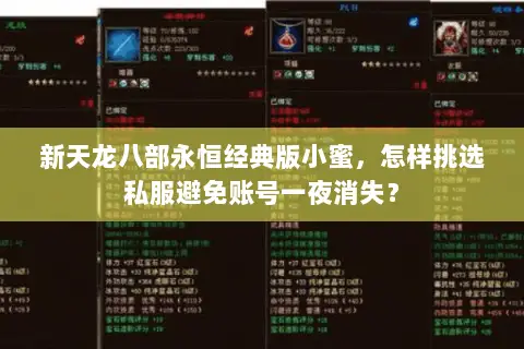新天龙八部永恒经典版小蜜,怎样挑选私服避免账号一夜消失? 新天龙八部永恒经典版小蜜,怎样挑选私服避免账号一夜消失?