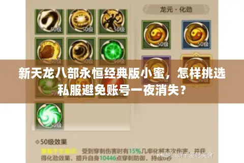 新天龙八部永恒经典版小蜜,怎样挑选私服避免账号一夜消失? 新天龙八部永恒经典版小蜜,怎样挑选私服避免账号一夜消失?