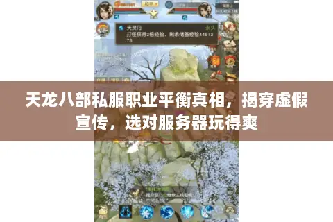 天龙八部私服职业平衡真相,揭穿虚假宣传,选对服务器玩得爽 天龙八部私服职业平衡真相,揭穿虚假宣传,选对服务器玩得爽