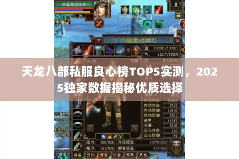 天龙八部私服良心榜TOP5实测,2025独家数据揭秘优质选择 天龙八部私服良心榜TOP5实测,2025独家数据揭秘优质选择