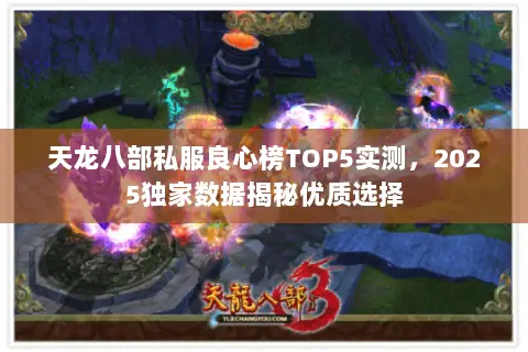 天龙八部私服良心榜TOP5实测,2025独家数据揭秘优质选择 天龙八部私服良心榜TOP5实测,2025独家数据揭秘优质选择