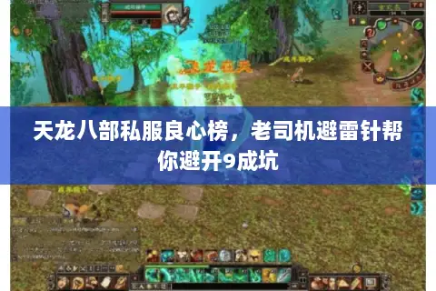 天龙八部私服良心榜,老司机避雷针帮你避开9成坑 天龙八部私服良心榜,老司机避雷针帮你避开9成坑
