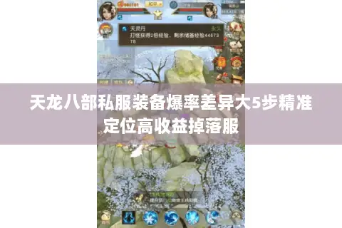 天龙八部私服装备爆率差异大5步精准定位高收益掉落服 天龙八部私服装备爆率差异大5步精准定位高收益掉落服