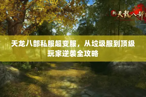 天龙八部私服超变服,从垃圾服到顶级玩家逆袭全攻略 天龙八部私服超变服,从垃圾服到顶级玩家逆袭全攻略