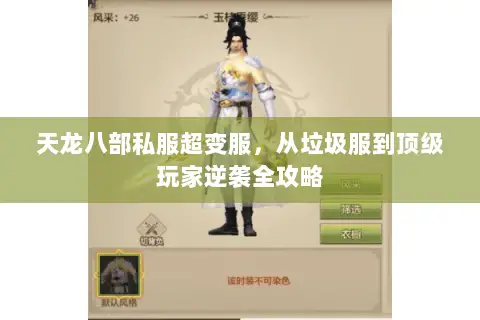 天龙八部私服超变服,从垃圾服到顶级玩家逆袭全攻略 天龙八部私服超变服,从垃圾服到顶级玩家逆袭全攻略