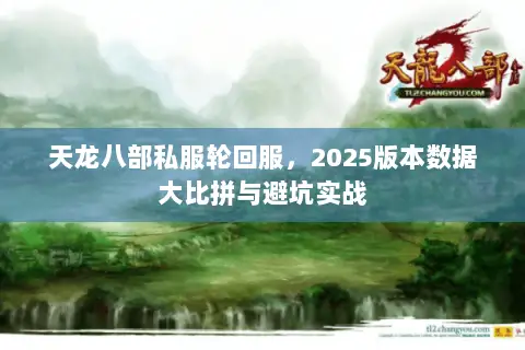 天龙八部私服轮回服,2025版本数据大比拼与避坑实战 天龙八部私服轮回服,2025版本数据大比拼与避坑实战