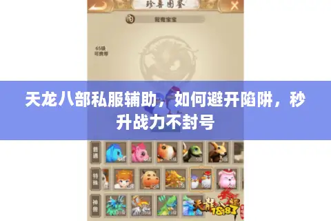 天龙八部私服辅助，如何避开陷阱，秒升战力不封号