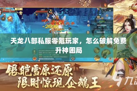 天龙八部私服零氪玩家，怎么破解免费升神困局